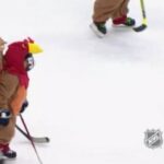 Les amateurs de hockey font courir leurs frères et sœurs à la table du dîner.
Joyeux Action de Graces! ...