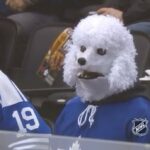 Qui a laissé le chien dehors? #HockeyHalloween ...