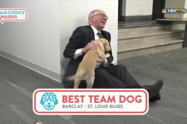 @stlbluespup se dirige vers la finale #StanleyPup! VOTEZ À BIO #NHLFanChoice ...