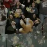 TEDDY BEAR TOSS @theersers Bears se sont surpassés cette saison. ...